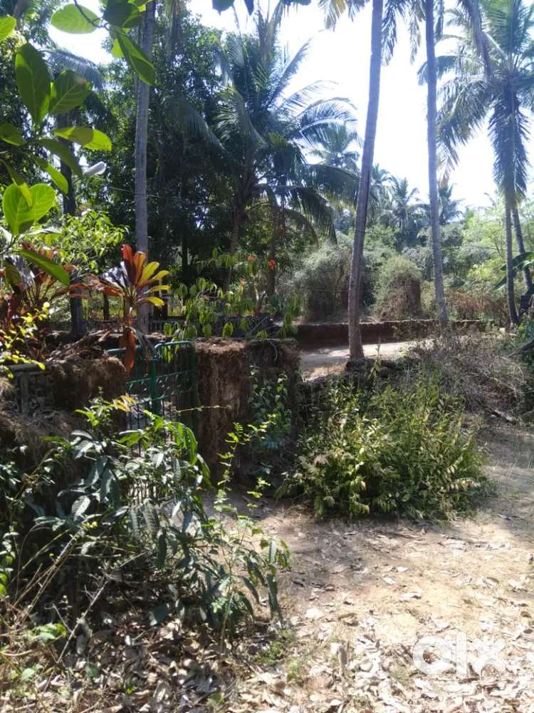 GARDEN SUNDAR KOTHI NIWAS PURA HARA BHARA JAGA DENI HAI ASOLNA GOA MEI