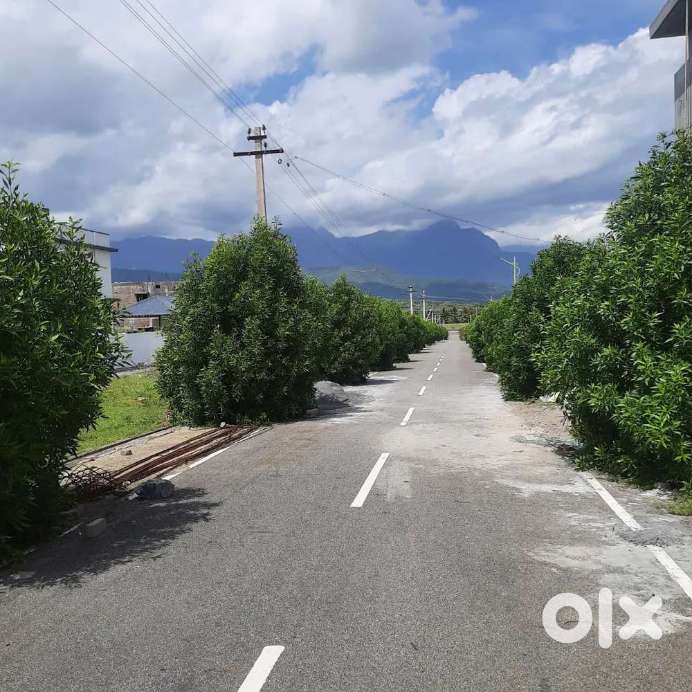 Karamadai  dhayanur !!  East facing plots for sale