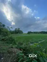 জমি হবে রাজারহাট marline rise এর পাশে