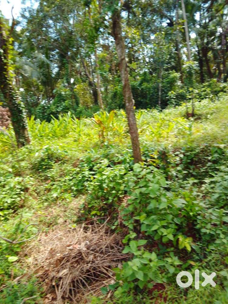 Plot for Sale – 14 Cents Residential Land
