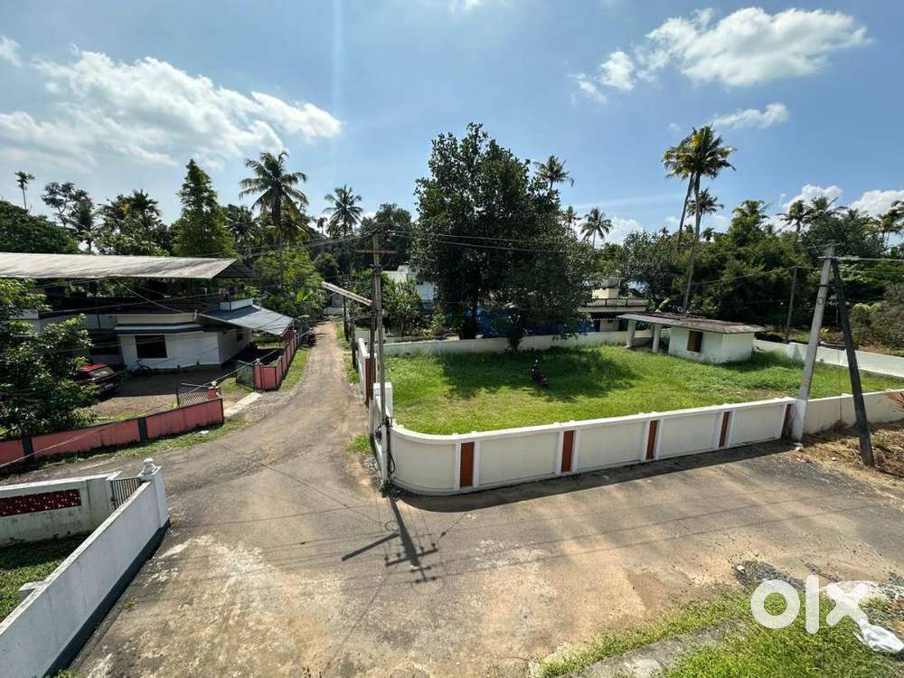 11 cent individual house plot near Koratty Infopark- Road frontage