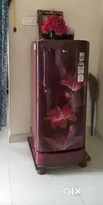 LG refrigerator