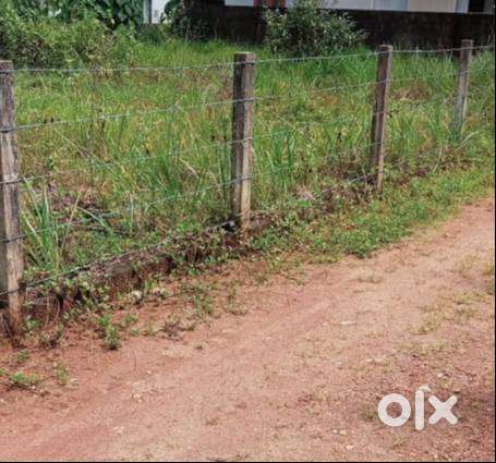 30 Cents of Residential Property in Pallikkara, Kakkanad