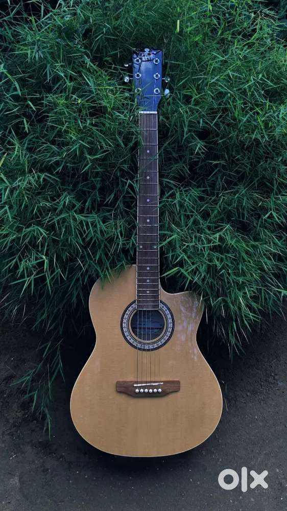 pluto guitar for sale