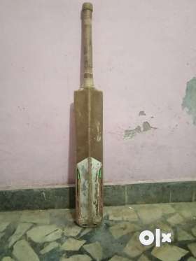 Medium size cricket bat