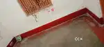 We need a girl's roommate