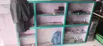 Shop Rack wall withbglass