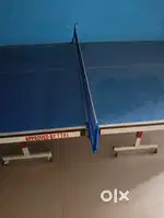 Table tennis sports