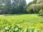 22 Katha Cultivable Land beside High Road at Budge Budge