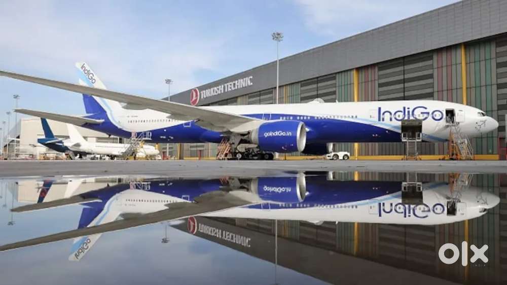 We are hiring Indigo airline best candidate apply fast