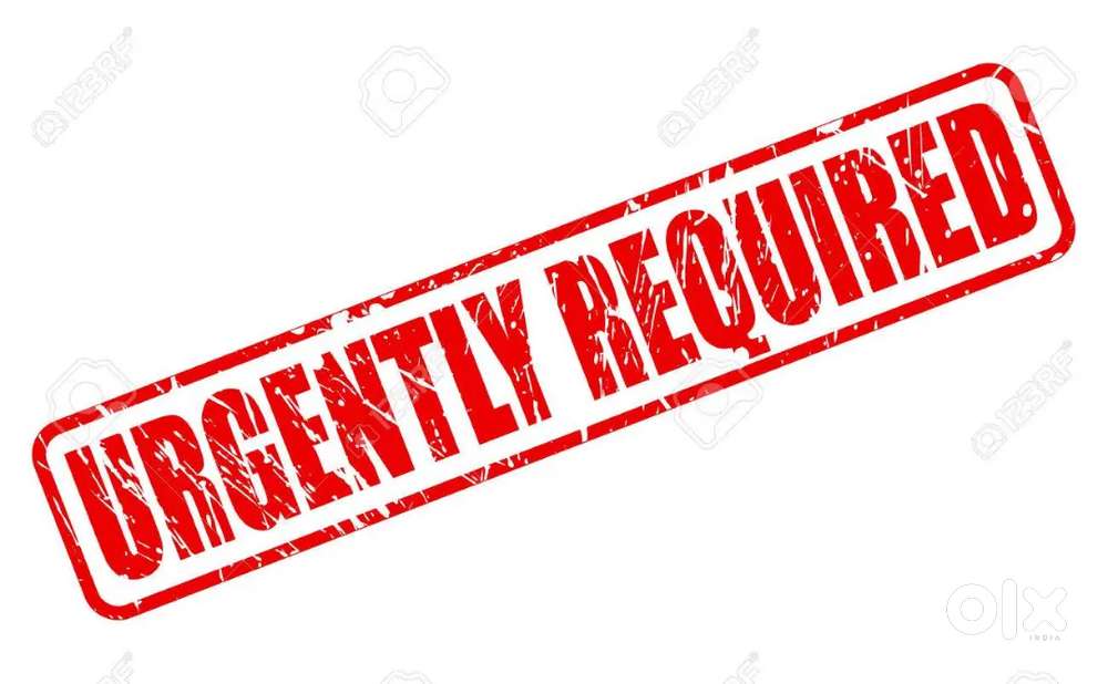 Urgently required  tutor for BCA(online/offline)