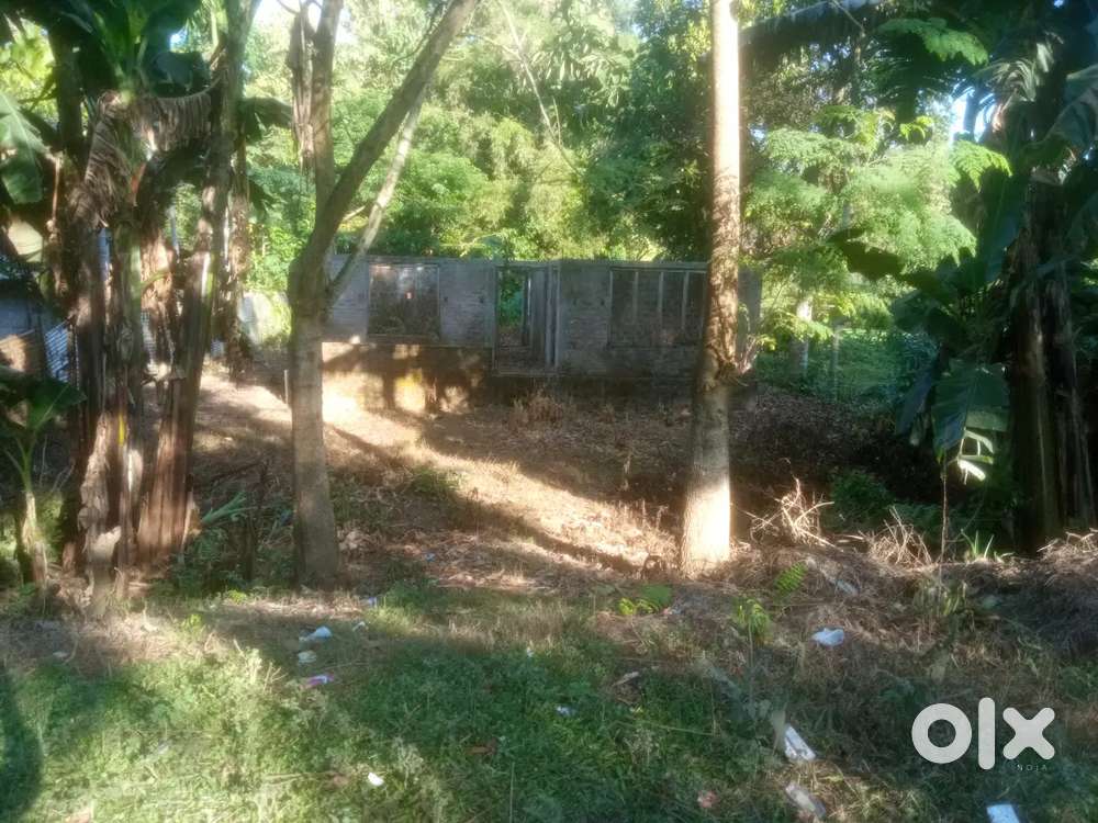 Land For sale ... Dhing thana  main road