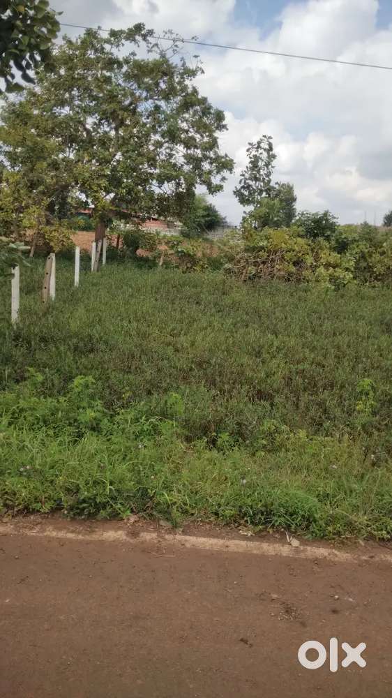 Open land for rent / lease