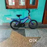 Cycle fo 5 to 7 year old
