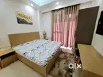 1 BHK apartment fully furnished