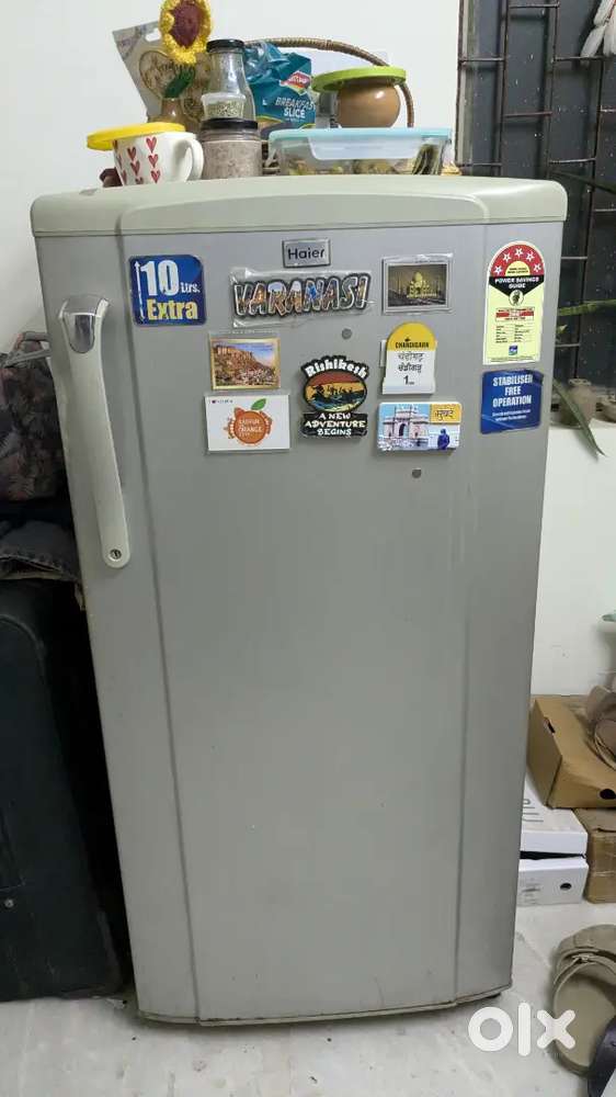 4 year old fridge