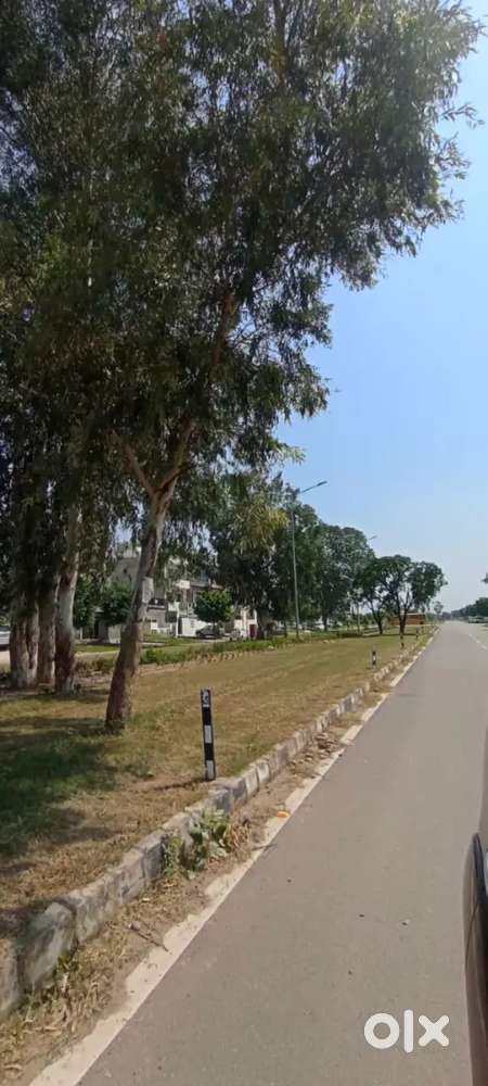 500gaj Plot on commercial location in 66b it city mohali gmada airport