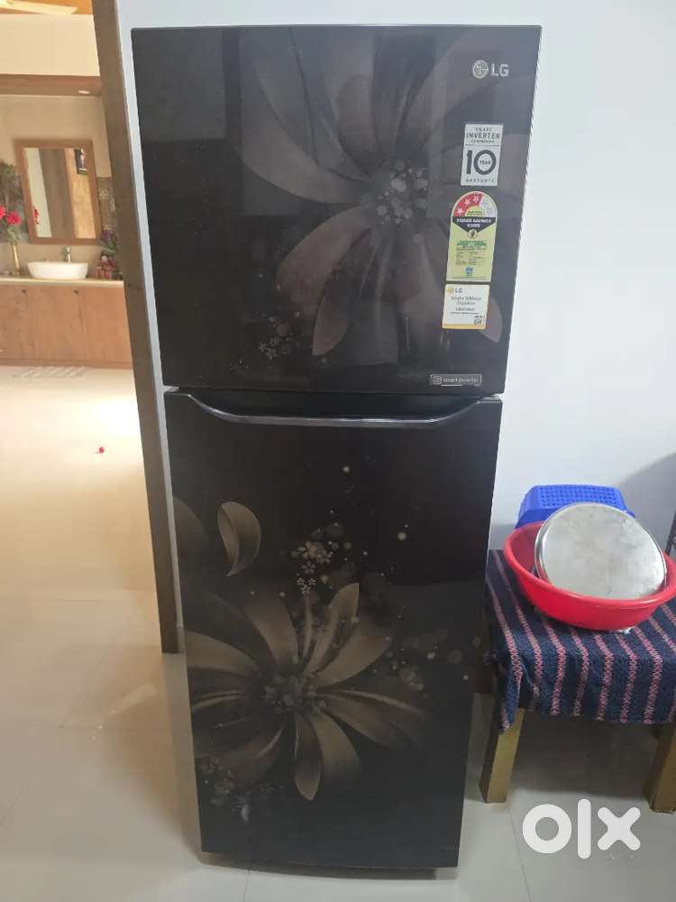 LG 255 Litres Double Door