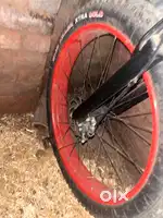 Fat tyre bicycle