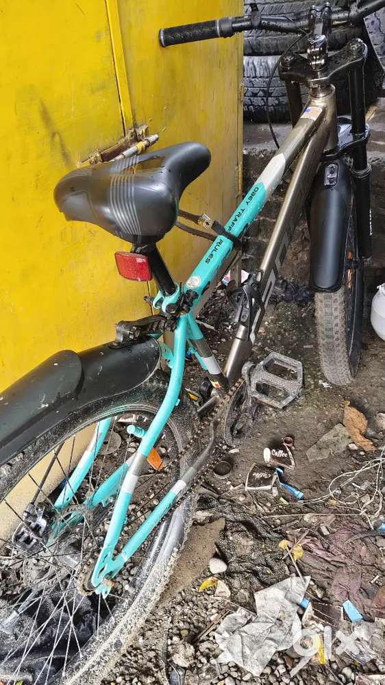 chicago bike 4 month old