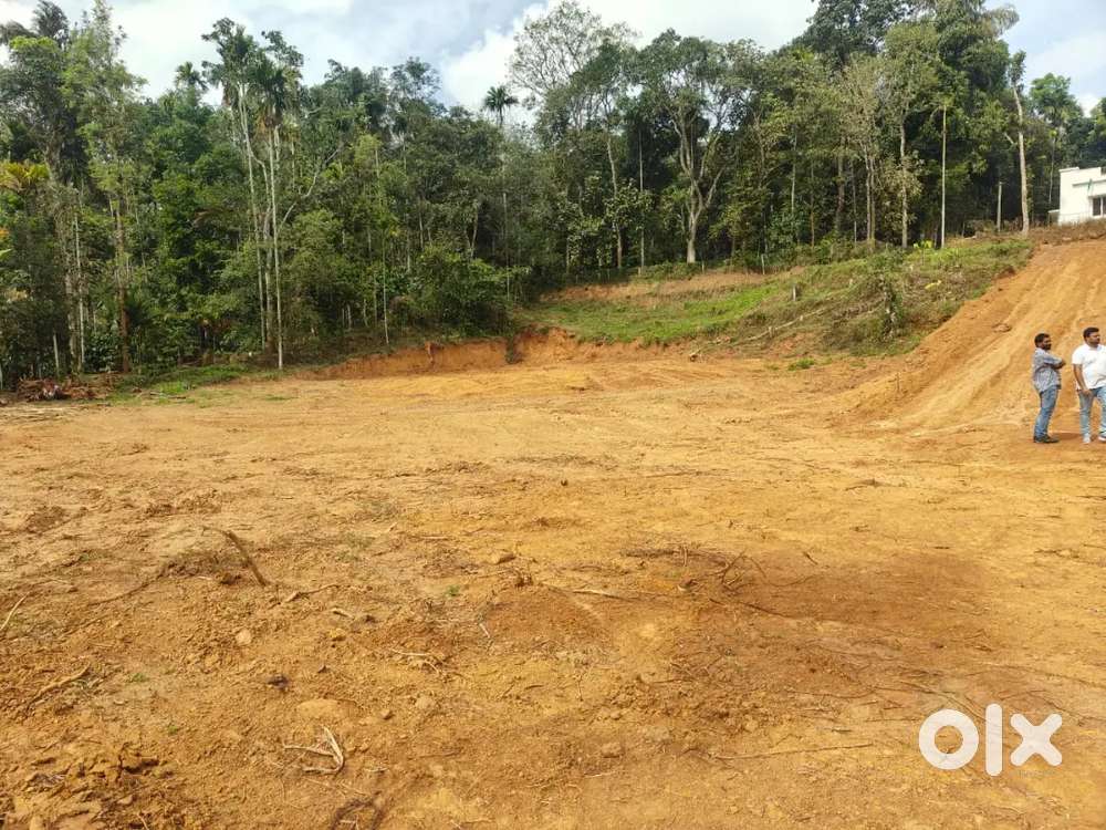Moolankavu 10 cent plot for sale