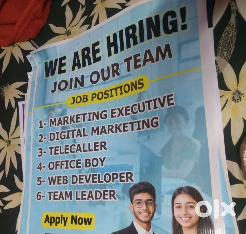Sales and marketing, telecalling, office boy,web developer,team leader