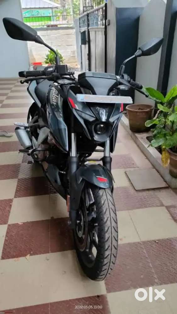 Pulsar N250 Grey