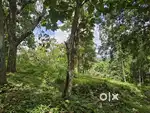 House plot for sale