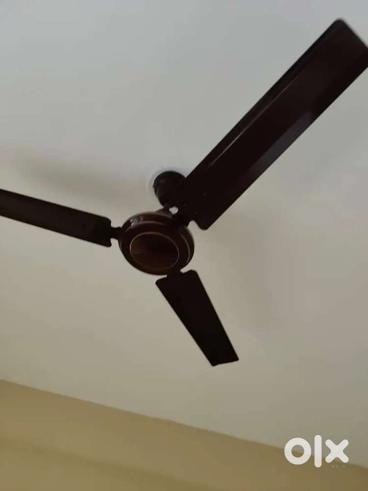 2bhk flat for rent available terra heritage sect 51 banbeerpur