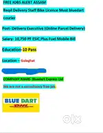 Reqd Delivery staff own bike licence must bluedart courier