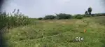 Vacant land for rent Rs. 10,000. Priya nagar, Villangadupakkam.
