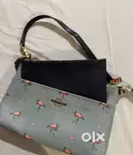 Coach bag     .