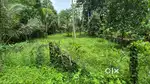 34 Cent Land Suitable for house or plantation