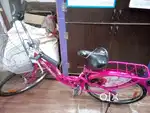 Lady Bird cycle