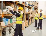 Picker and packer job