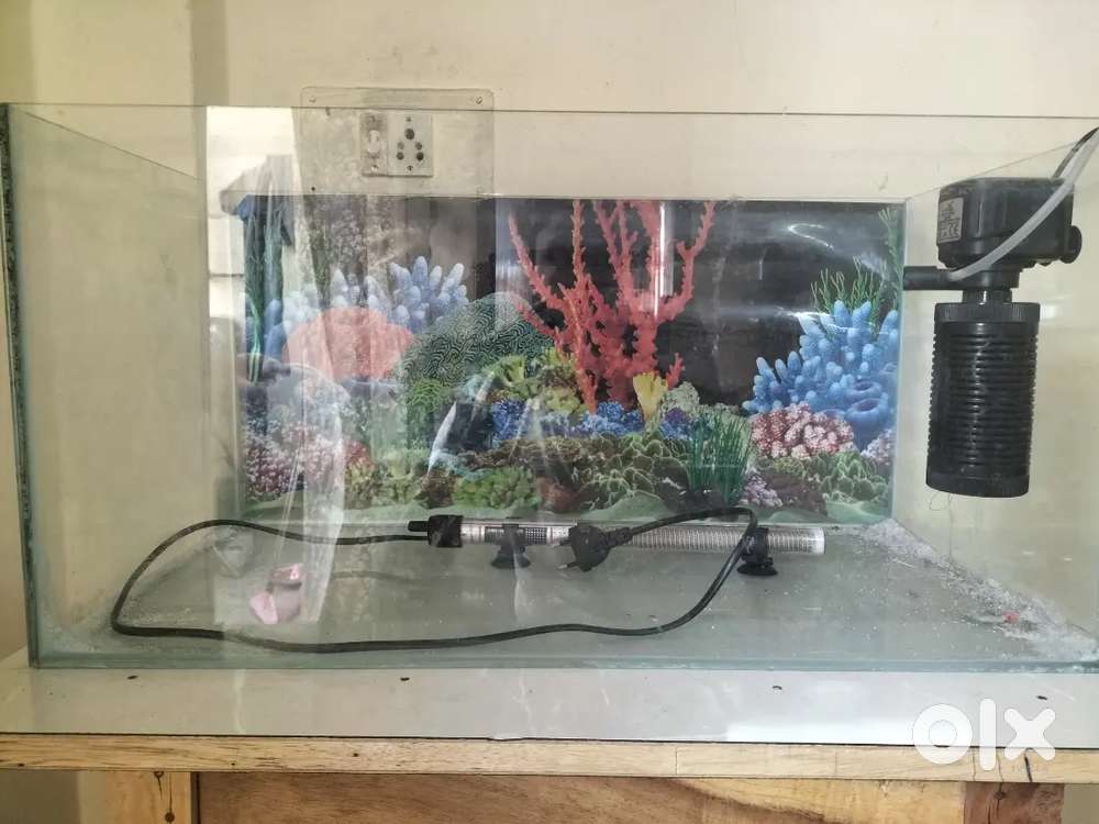 2ft Aquarium Tank with Filter and heater