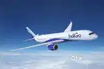 Fresher jobs huge vacancy open in Indigo Airlines Pvt Ltd