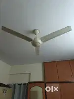 Ceiling fans (5 Fans)