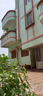 House surrounded by Greenery