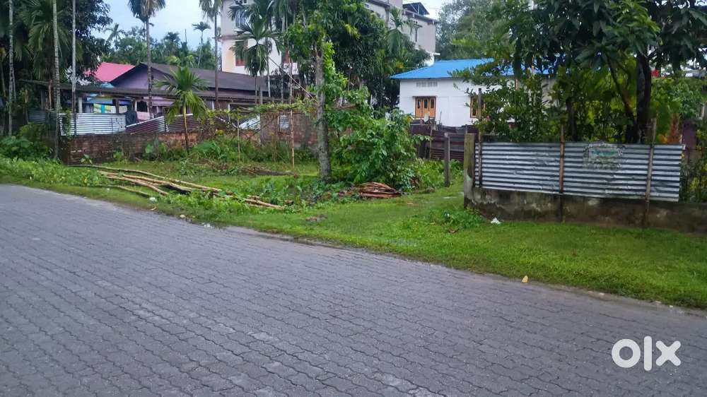 1 kotha land for sale in mangoldoi 150 m from the national highway.