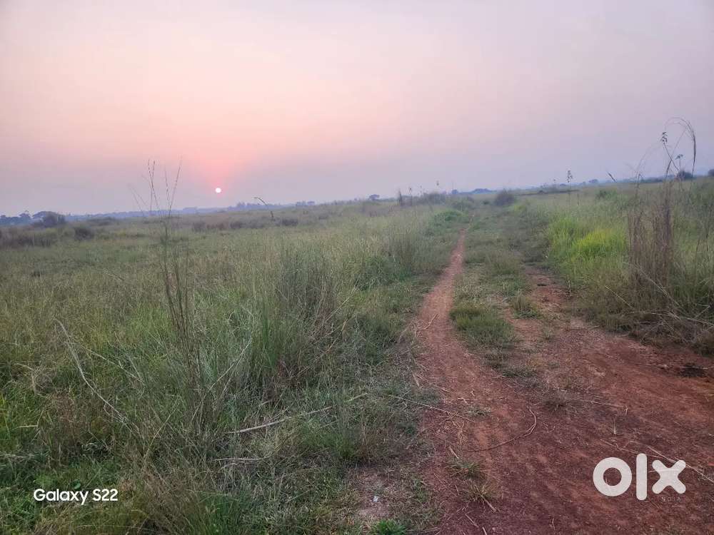 Mega Plotting Project Near AIIMS and DN regalia back side.