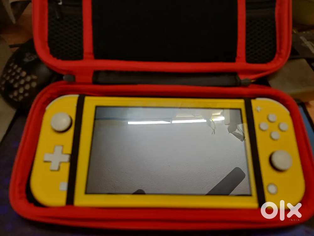 Nintendo switch lite