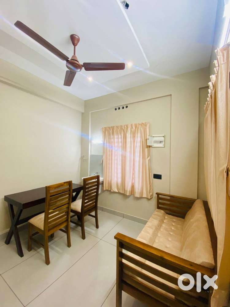 #1 BHK Fully Furnished Apartment Available for Rent in Chitethkara