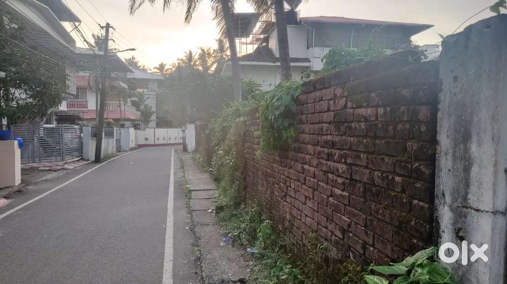 10 cents Residential cum commercial plot kaloor