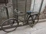 Atlas 22 inch cycle 1 saal 6 month old