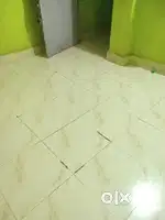 Urgently needed girls roommate