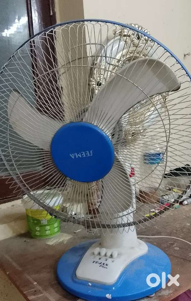 Texas ceiling fan.   ( Seema )