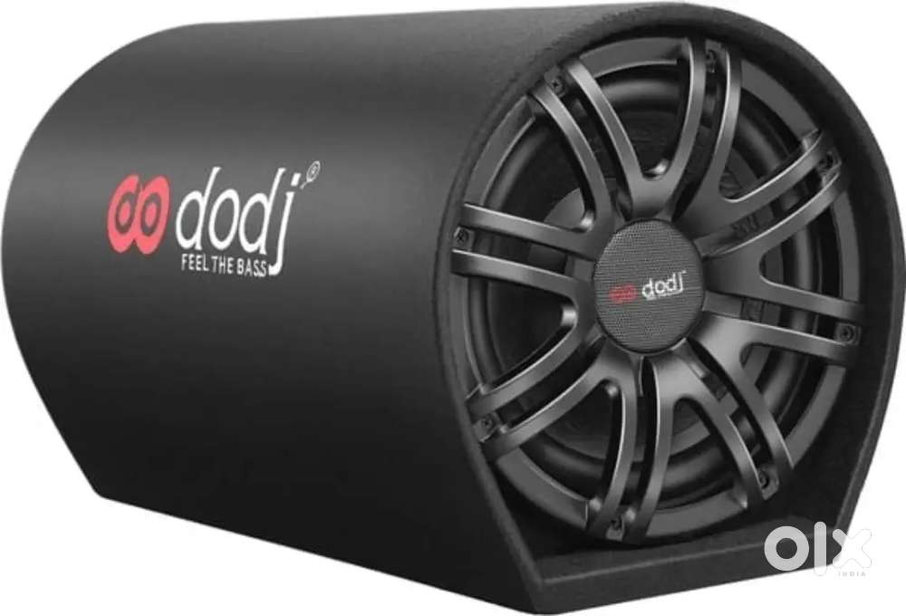 10 Inch Active Bass Tube Inbuilt Amplifier Powered Subwoofer