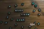 WORK FROM HOME ( free joining )