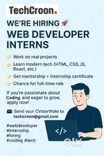 Web developer intern